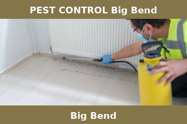 PEST CONTROL Big Bend